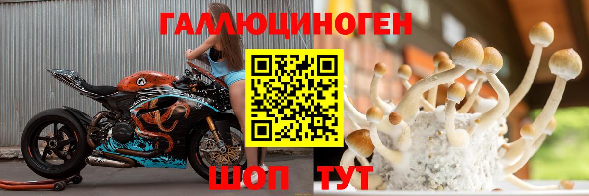 Галлюциногенные грибы Psilocybine cubensis Киров